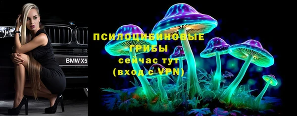 дживик Абаза