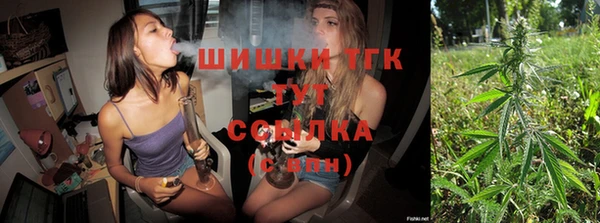 дживик Абаза